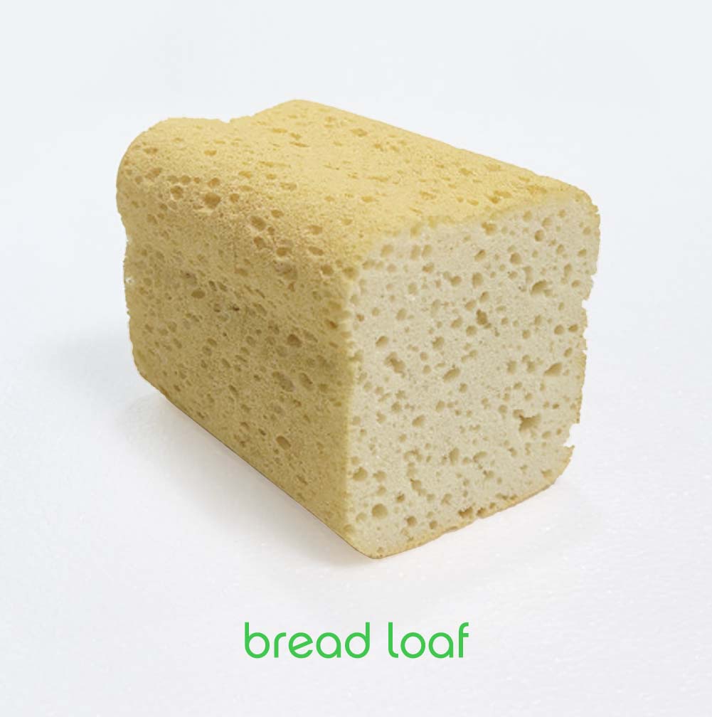 Bread Sponge